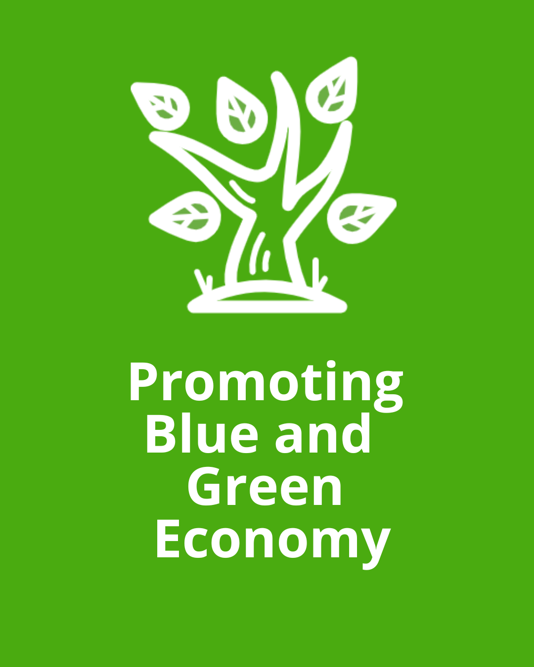 Promoting Blue and Green Economy