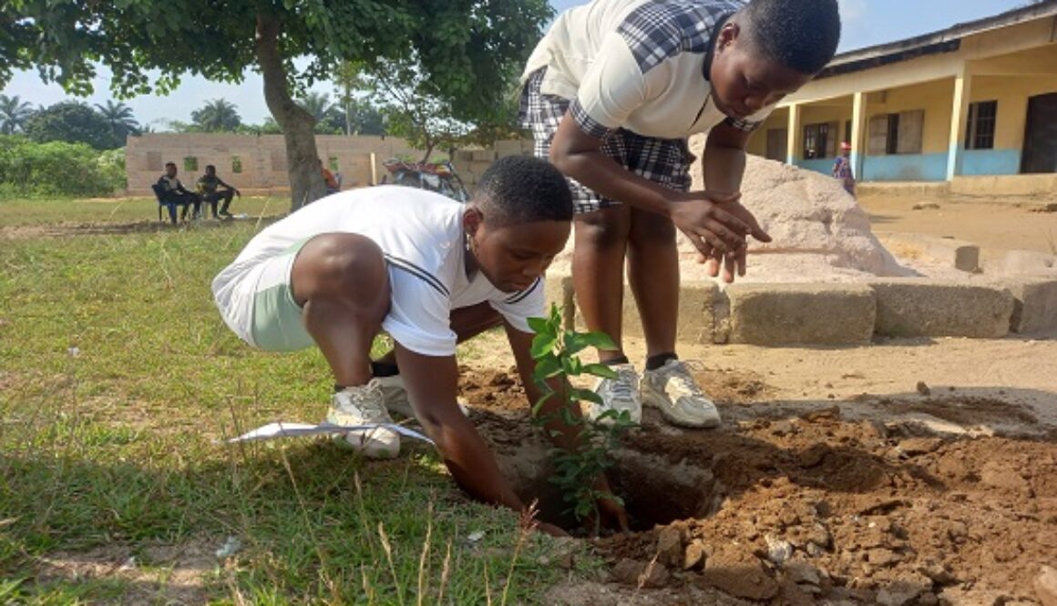 The Importance of Climate Education in Schools: Preparing the Next Generation for a Sustainable Future